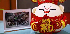 福祿壽喜報道，拓樸設(shè)計給您拜年啦！